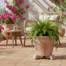 Artikel Blumentopf-Füße aus Ton in Umbrabraun 7 cm 3er-Set