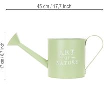 Artikel Blumentopf Gießkanne aus Zink Mintgrün Ø16,5 cm für Innenbereich