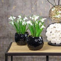Artikel Blumentopf Keramik Ei Pflanztopf Schwarz Ø10cm H8cm 2 St
