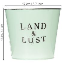 Artikel Blumentopf Mint Metall Übertopf Landhaus Ø17cm H15,5cm