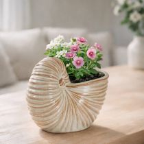 Artikel Keramik-Blumentopf Schneckenform 21cm Creme Braun für Innen- und Balkondekoration