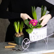 Artikel Metall Blumentopf Schubkarre Lavendelmotiv 46cm Weiß Lila für Innen und Außen