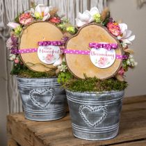 Artikel Blumentopf Shabby Chic Übertopf Metall Herz Ø17,5cm H15,5cm