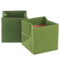 Artikel Blumentüte Grün Olivgrün Gerippt mit Folie 10,5cm 6 St