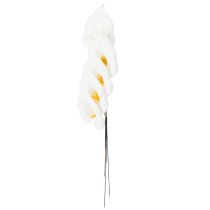 Artikel Künstliche mittlere Calla am Draht 37 cm Weiß 50 Stück