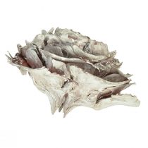 Artikel Zapfen aus Zedernholz in Rosenform 4-6cm Weiß/Natur 50 Stück
