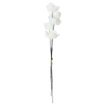 Artikel Künstliche Christrose Weiß am Draht, 32cm, 50 Stück