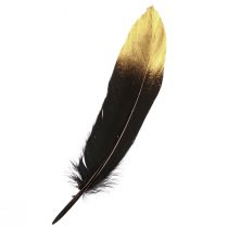 Artikel Deko Federn Schwarz Gold Echte Gänsefedern 15-20cm 50St
