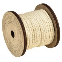 Artikel Deko Kordel Baumwolle Creme Ø2mm Holzspule mit je 16m 2St