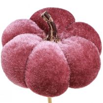 Artikel Deko-Kürbis aus Stoff, Ø7cm, Burgund und Rosa, am Stab, 9 Stück