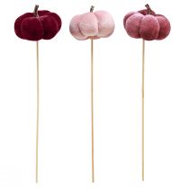 Artikel Deko-Kürbis aus Stoff, Ø7cm, Burgund und Rosa, am Stab, 9 Stück