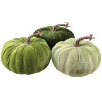 Artikel Deko Kürbis Herbst Grün Dunkelgrün Hellgrün Ø18cm 3 St