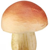 Artikel Dekopilze aus Kunststoff am Stab, Braun, 10/11,5 cm, 8-teilig