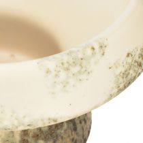 Artikel Deko-Schale aus Keramik mit Sockel Creme Graugrün Ø17cm H10cm