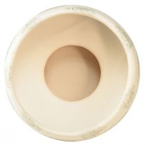 Artikel Deko Schale Keramik mit Sockel Creme Graugrün Ø17cm 10cm