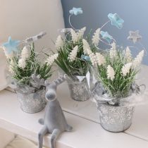 Artikel Deko Sterne beflockt Streudeko Blau Ø4/5cm 40 St
