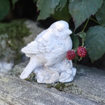 Artikel Deko Vogel Figur Spatz Steinguss Weiß gewaschen H12,5cm