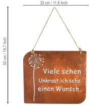 Artikel Deko-Schild Metall Rostoptik mit Pusteblumenmotiv 35×30cm für Außenbereich