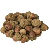 Artikel Eicheln zum Dekorieren, Herbstdeko, Herbstfrüchte natürlich Ø1,5 – 2,5cm L1,5 – 3cm 300g