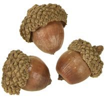 Artikel Eicheln aus Naturmaterial zur Dekoration, Ø1,5–2,5 cm, 300 g, Braun