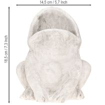 Artikel Frosch Blumentopf Beton Grau H18,5cm Maulöffnung 9x6cm