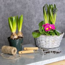 Artikel Geflochtener Blumendekorationskorb aus Spanholz 23 cm Ø Weiß/Braun/Grau 6er-Set