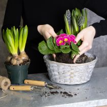 Artikel Geflochtener Blumendekorationskorb aus Spanholz 23 cm Ø Weiß/Braun/Grau 6er-Set