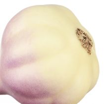 Artikel Künstlicher Knoblauch Ø4,5 cm Gelb-Lila 12 Stück im Netz
