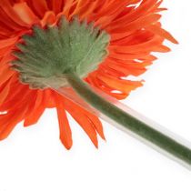 Artikel Gerbera Schlauch Abschnitte 1000St