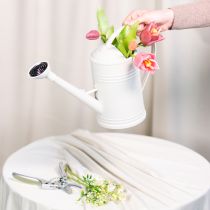 Artikel Gießkanne mit abnehmbarem Brausekopf Ideal für Zimmerpflanzen und Balkone 32cm
