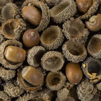 Artikel Herbstkranz aus Eichelkapseln Ø30cm Naturbraun Tür- und Wanddekoration