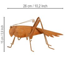Artikel Heuschrecke Gartendeko Metall Edelrost Rostoptik 26cm Außenbereich