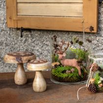 Artikel Holzpilz Deko Pilz Holz Deko Natur Herbstdeko Ø15cm H14,5cm
