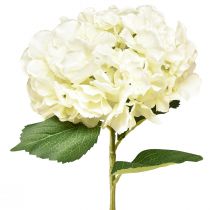 Artikel Künstliche Hortensie Gigant Dekoblume Lachs Ø23cm L84cm