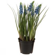 Artikel Hyazinthen künstlich im Topf Blau 24cm