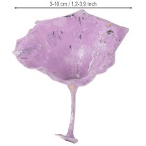 Artikel Getrocknete Kalix Pilze Lila Weiß gewaschen 3–10 cm 100 Stück