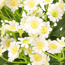 Artikel Künstliche Kamille Wiesenblumen Weiß 58cm, 4 Stück