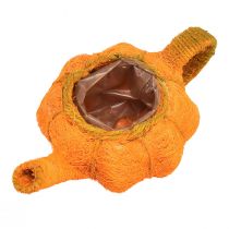 Artikel Kürbis-Dekokanne aus Sisal Ø13cm Orange/Gelbgrün für Innenbereich