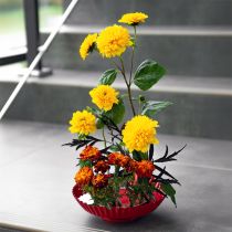 Artikel Kenzan Steckhilfe Ring mit Messingnadeln für florale Arrangements