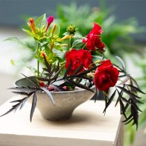 Artikel Runder Blumenigel aus Messing mit Kunststoff-Schoner, Ø 12 cm, für Ikebana und Blumengestecke