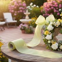 Artikel Kranzband aus Acetat und Polyester, Moiré-Optik, hellgrün mit Goldrand, 175mm x 25m, floristische Dekoration