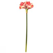 Artikel Künstliche Amaryllis Pink und Creme – Große Stielblume 76cm