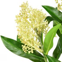 Artikel Künstliche Blumen Skimmia japonica Cremeweiß, 45 cm, 2 Stück