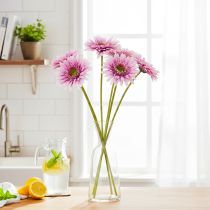 Artikel Künstliche Gerbera Blume 47cm Lila aus Kunststoff und Metall 6St