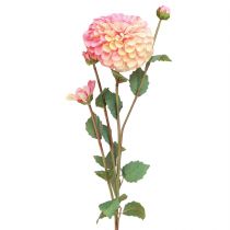 Artikel Künstliche Dahlien in Pfirsich Rosa Ø10cm L80cm 2St
