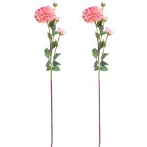Artikel Künstliche Dahlien Pfirsich Rosa Ø10cm L80cm 2 Stück