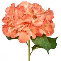 Artikel Künstliche Hortensie Gigant Dekoblume Lachs Ø23cm L84cm