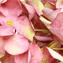 Artikel Künstliche Hortensie Groß Rosa Mauve Ø15cm L58cm 2St