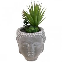 Artikel Künstliche Sukkulenten Blumentopf Buddha Ø12cm H25cm