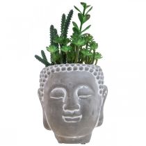 Künstliche Sukkulenten Blumentopf Buddha Ø12cm H24cm
